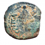 תמונת מטבע נדיר מימי אגריפס הראשון שהתגלה בנחל שילה