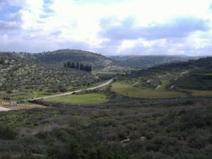 לקראת פסח - בעקבות עולי הרגלים