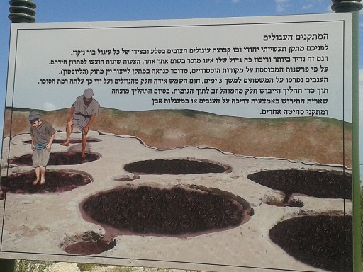 המתקנים העגולים